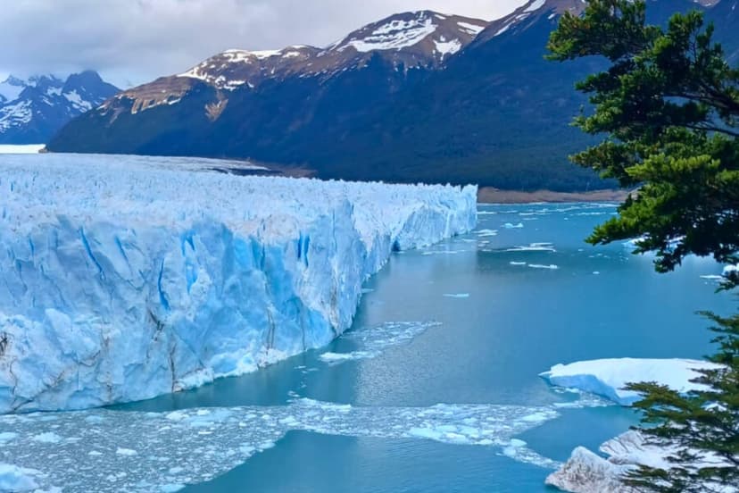 EL CALAFATE